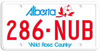 Made in USA Plates