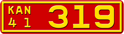 Replica License Plates After View