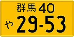 Samples of License Plates with Painted Finish
